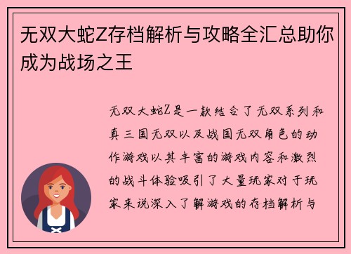 无双大蛇Z存档解析与攻略全汇总助你成为战场之王